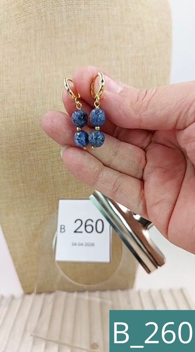 B_260
