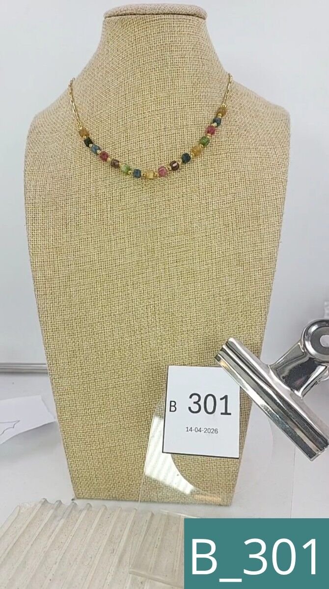 B_301