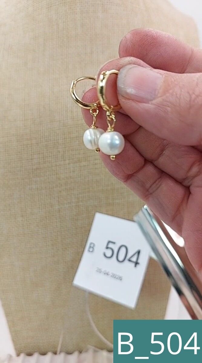 B_504