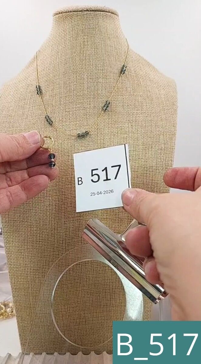 B_517
