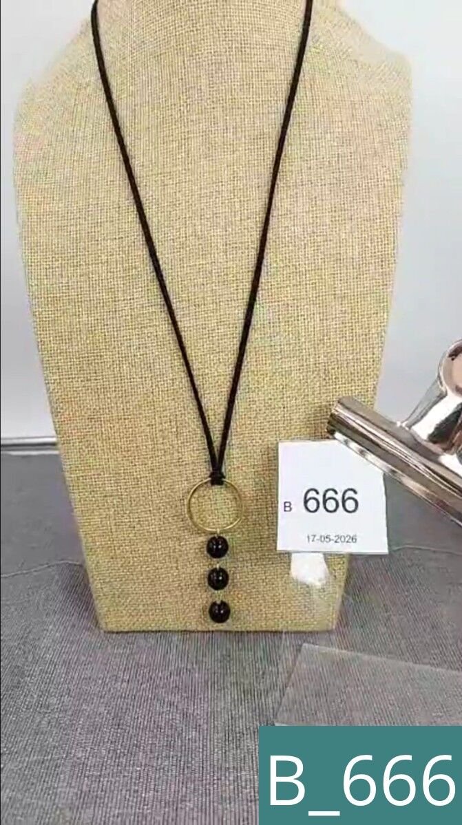 B_666