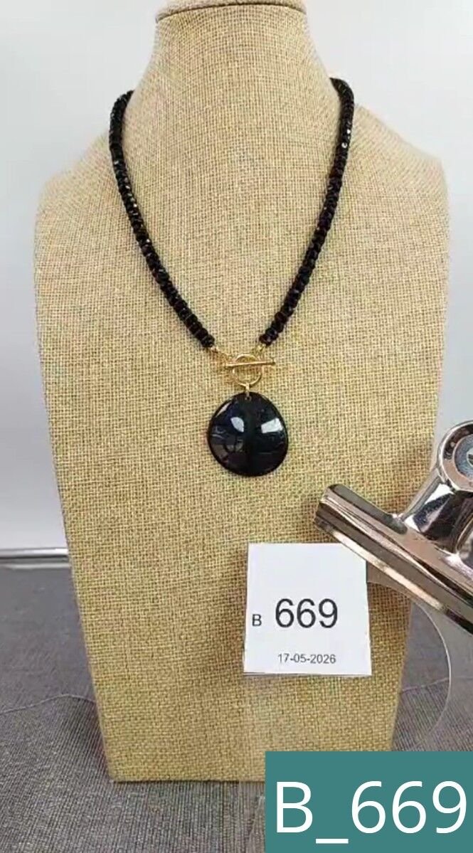 B_669