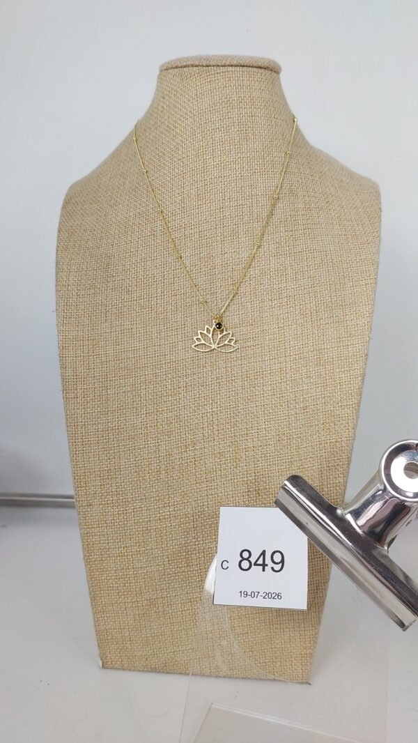 Collar Baño Oro (C_849)
