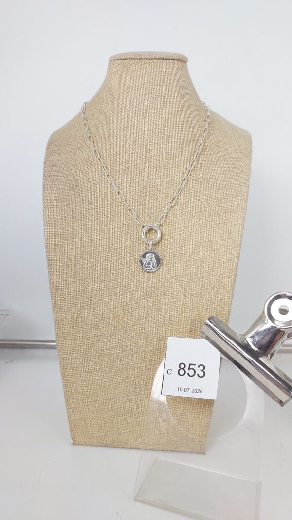 Collar Baño Plata (C_853)