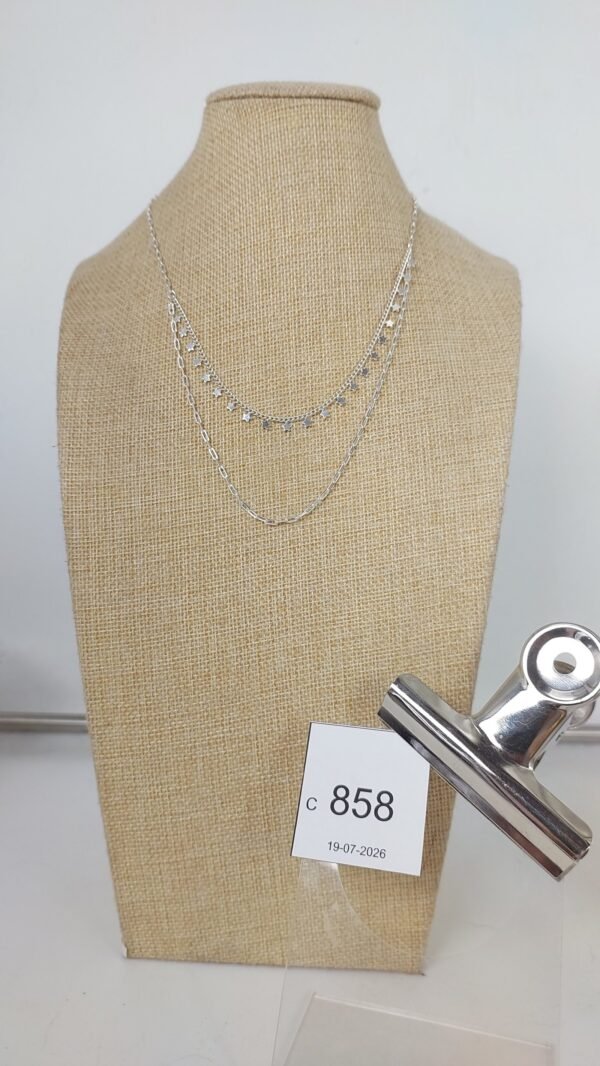 Collar Baño Plata (C_858)